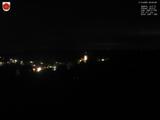 20 : 20