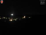 20 : 40