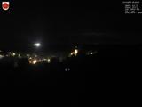 20 : 20