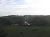 17 : 44