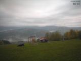 08 : 48