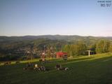 19 : 20
