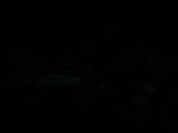 21 : 56
