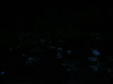05 : 00