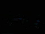21 : 12