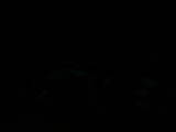 21 : 16