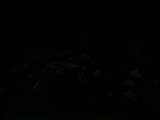 21 : 12