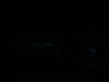 05 : 00