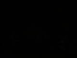 20 : 48