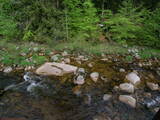 13 : 08