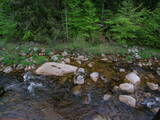 19 : 04