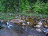 20 : 24