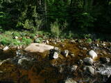 09 : 16