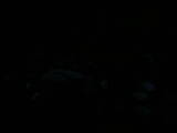04 : 48