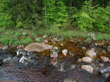 17 : 44