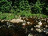 11 : 48