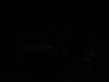 21 : 44