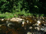 09 : 50