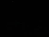 22 : 04