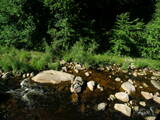 16 : 48