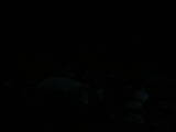 04 : 04