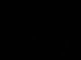 04 : 44