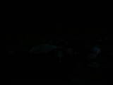 05 : 08