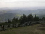 15 : 29