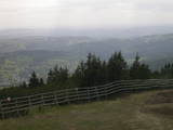 15 : 41