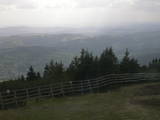 16 : 29