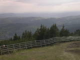 17 : 41