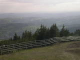 17 : 49