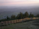20 : 35