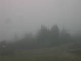 12 : 29