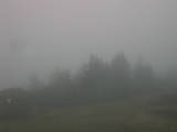 13 : 33