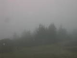 13 : 45