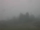 14 : 17