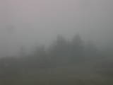 14 : 21