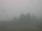 14 : 29