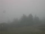 14 : 53