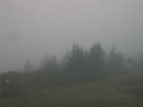 15 : 49