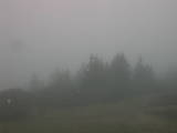 16 : 17