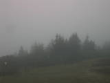 16 : 49