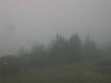 17 : 25