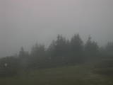 17 : 49