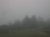 18 : 37