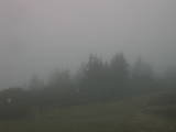 18 : 41