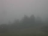 18 : 49