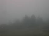 19 : 01