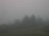 19 : 13
